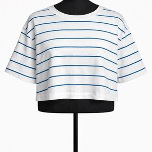 Aritzia Striped Crop Tee - White & Blue